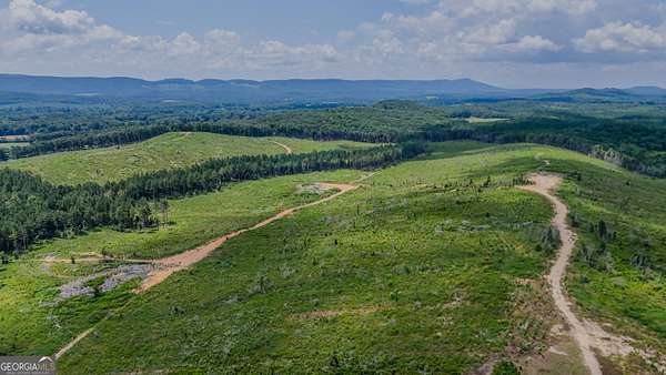 235 Acres of Land for Sale in Lyerly, Georgia