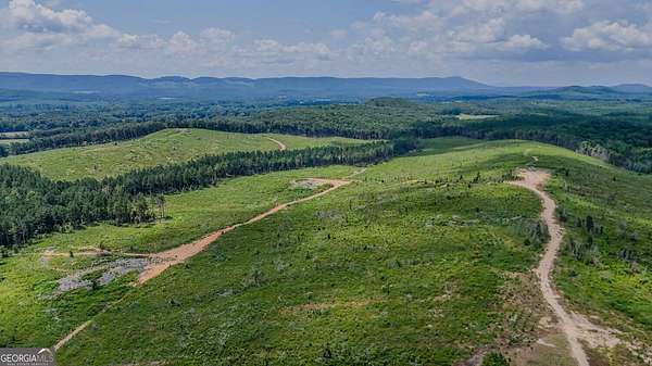 307 Acres of Land for Sale in Lyerly, Georgia