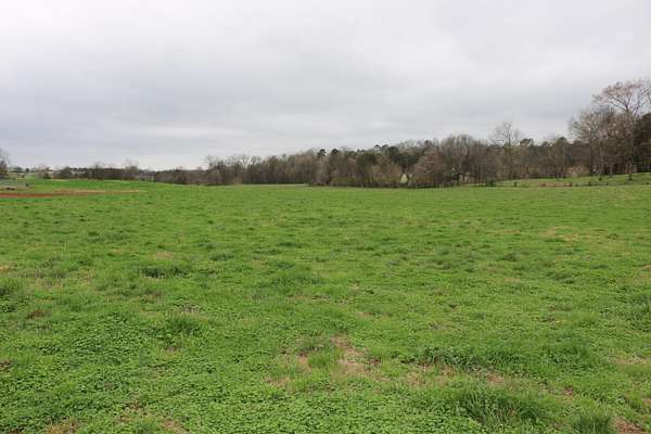 10.6 Acres of Land for Sale in Madisonville, Tennessee