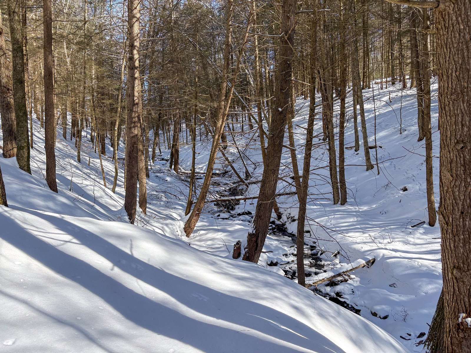 1.75 Acres of Land for Sale in Downsville, New York