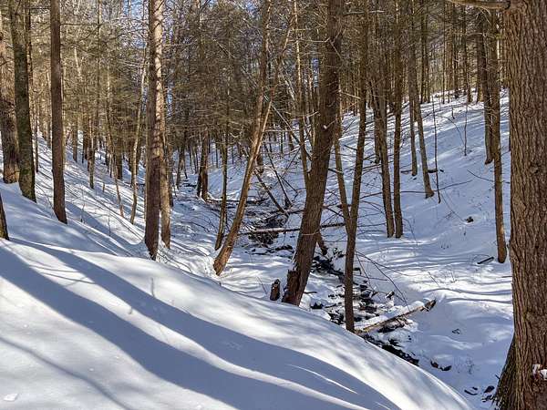 1.75 Acres of Land for Sale in Downsville, New York