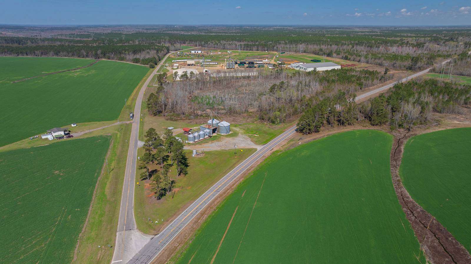 17 Acres of Agricultural Land for Auction in Bartow, Georgia
