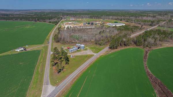 17 Acres of Agricultural Land for Auction in Bartow, Georgia