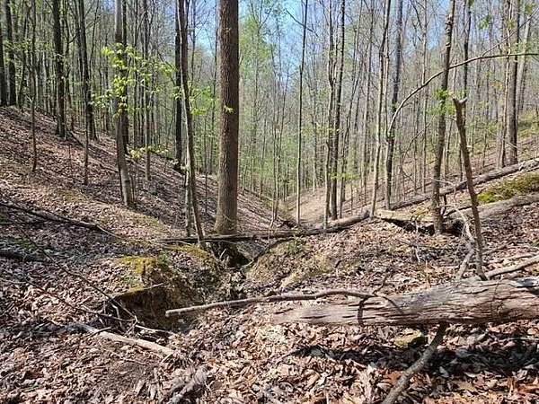 5 Acres of Residential Land for Sale in Hilham, Tennessee