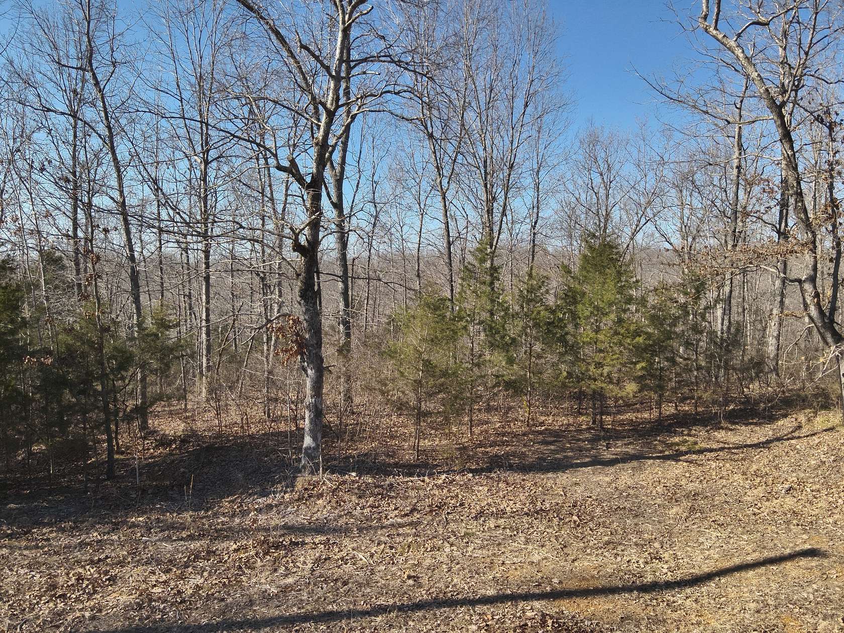 7.83 Acres of Residential Land for Sale in Linden, Tennessee