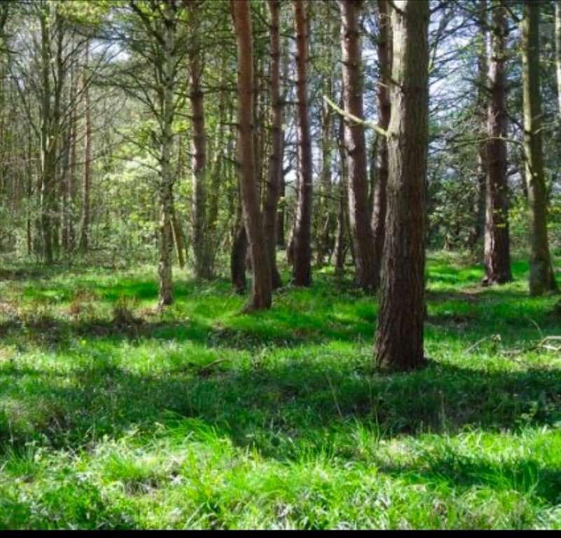 2 Acres of Residential Land for Sale in Easton, Massachusetts