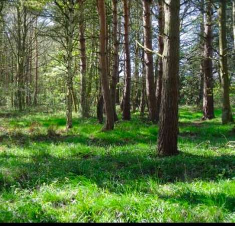 2 Acres of Residential Land for Sale in Easton, Massachusetts