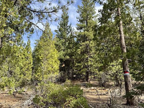 2.77 Acres of Residential Land for Sale in Bonanza, Oregon