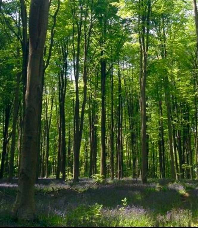 1.84 Acres of Residential Land for Sale in Easton, Massachusetts