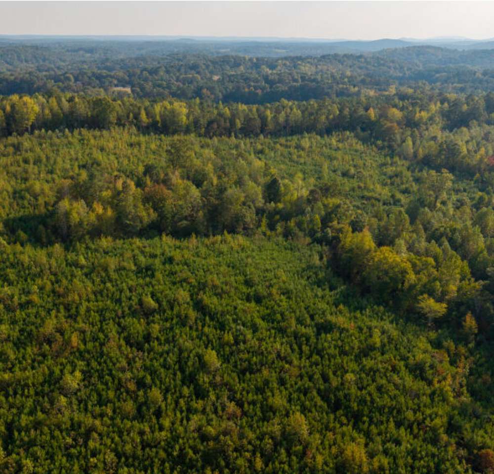 20 Acres of Recreational & Residential Land for Sale in Cedartown, Georgia