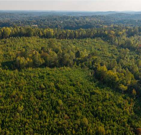 20 Acres of Recreational & Residential Land for Sale in Cedartown, Georgia
