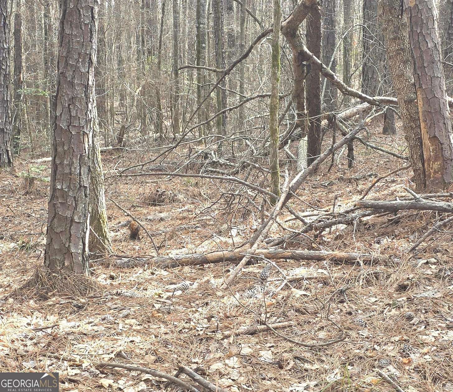 0.55 Acres of Land for Sale in Sparta, Georgia