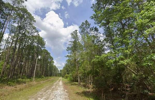 0.23 Acres of Residential Land for Sale in Georgetown, Florida