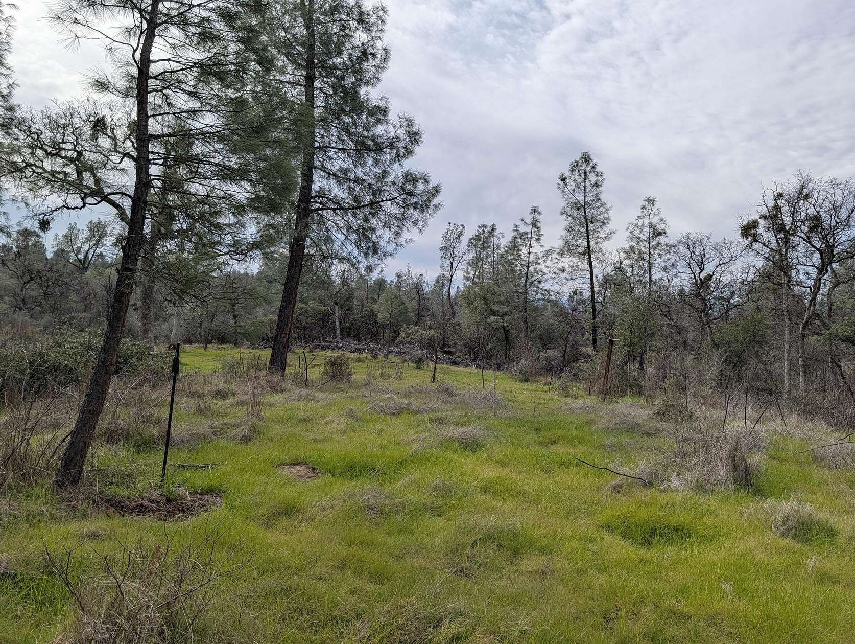 10 Acres of Recreational Land for Sale in Shingletown, California