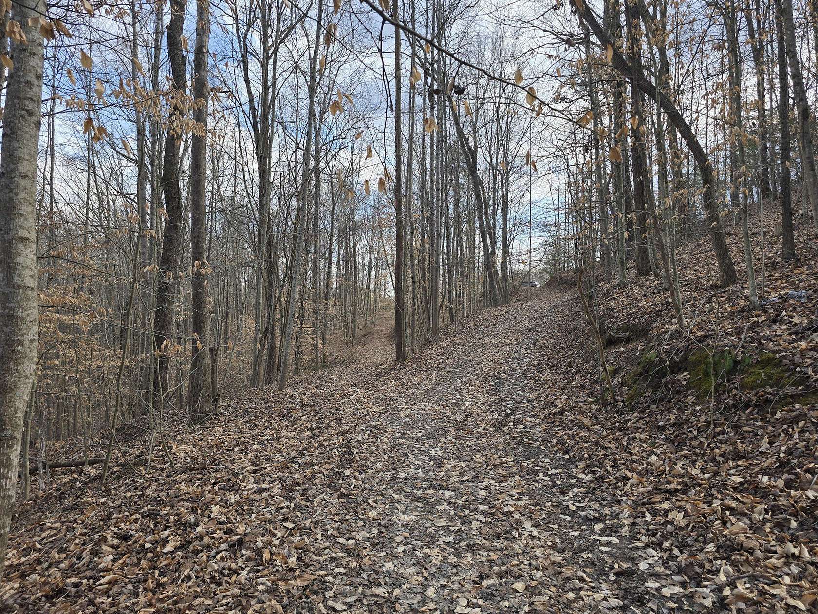 12.2 Acres of Recreational Land for Sale in Orlando, Kentucky