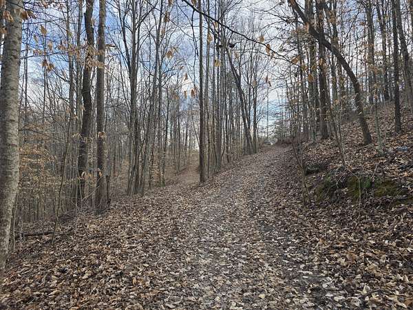 12.2 Acres of Recreational Land for Sale in Orlando, Kentucky
