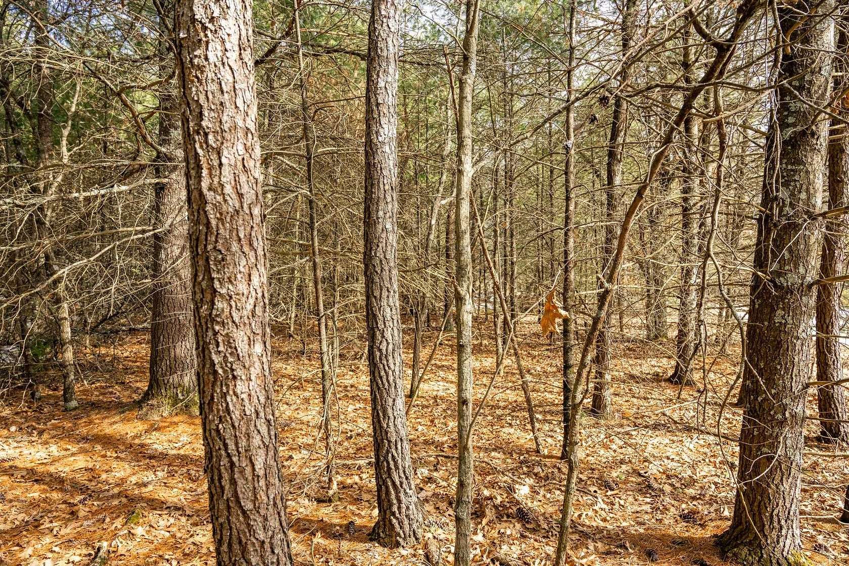 1.14 Acres of Residential Land for Sale in Arkdale, Wisconsin