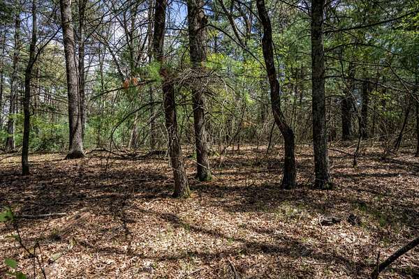 1.14 Acres of Residential Land for Sale in Arkdale, Wisconsin