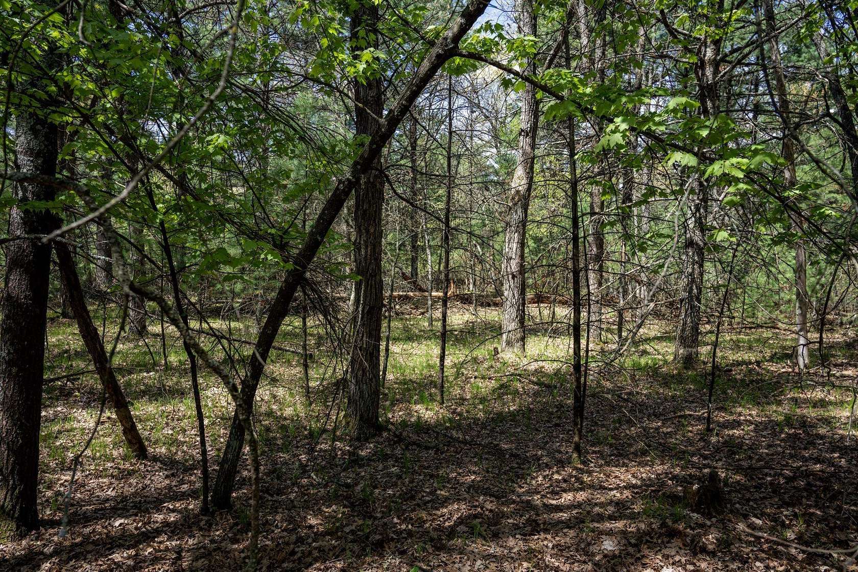 1.42 Acres of Residential Land for Sale in Arkdale, Wisconsin