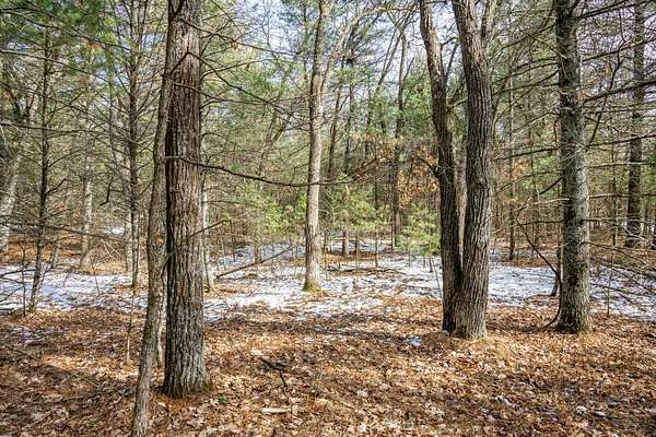 1.42 Acres of Residential Land for Sale in Arkdale, Wisconsin