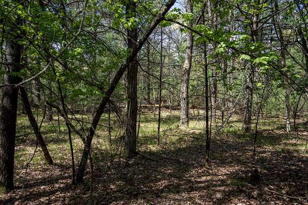 1.42 Acres of Residential Land for Sale in Arkdale, Wisconsin