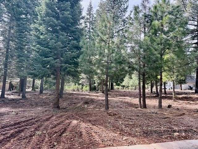 0.22 Acres of Residential Land for Sale in Lake Almanor Peninsula, California