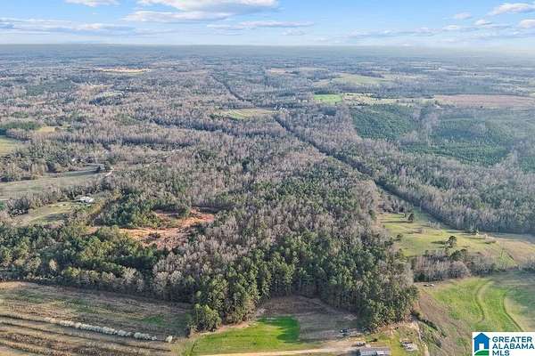 45 Acres of Land for Sale in Clanton, Alabama