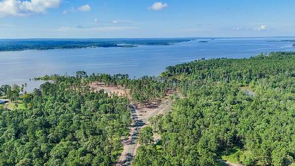 1 Acre of Residential Land for Sale in Pineland, Texas