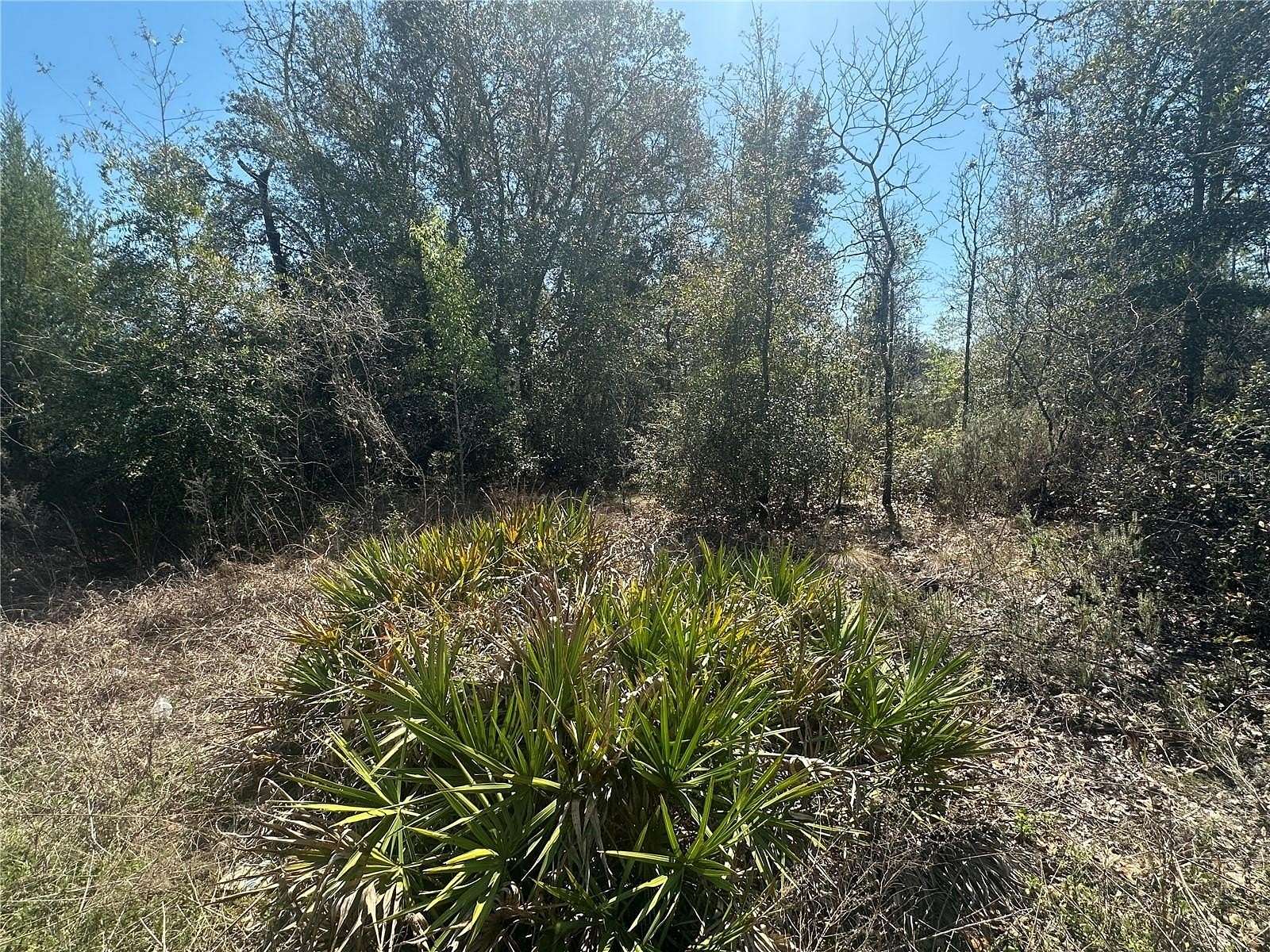 0.24 Acres of Land for Sale in Bronson, Florida