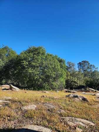 2.57 Acres of Residential Land for Sale in Coarsegold, California