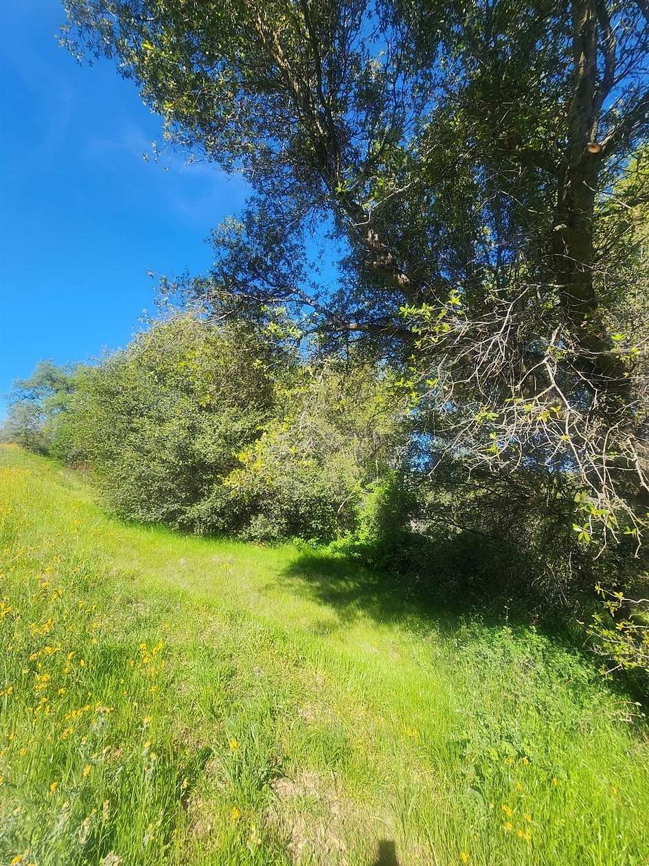 4.52 Acres of Residential Land for Sale in Coarsegold, California