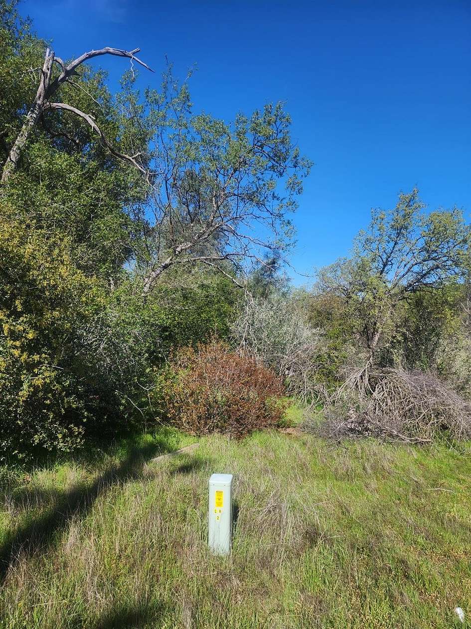 3.49 Acres of Residential Land for Sale in Coarsegold, California