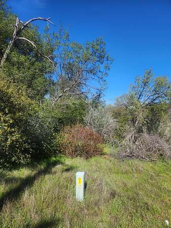3.49 Acres of Residential Land for Sale in Coarsegold, California