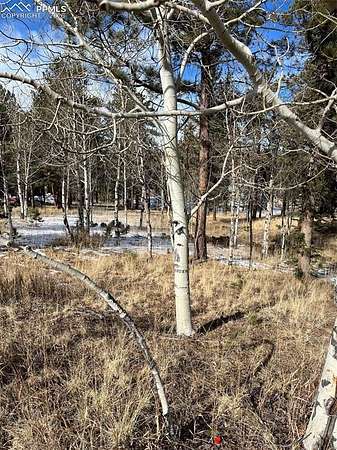 0.56 Acres of Land for Sale in Woodland Park, Colorado