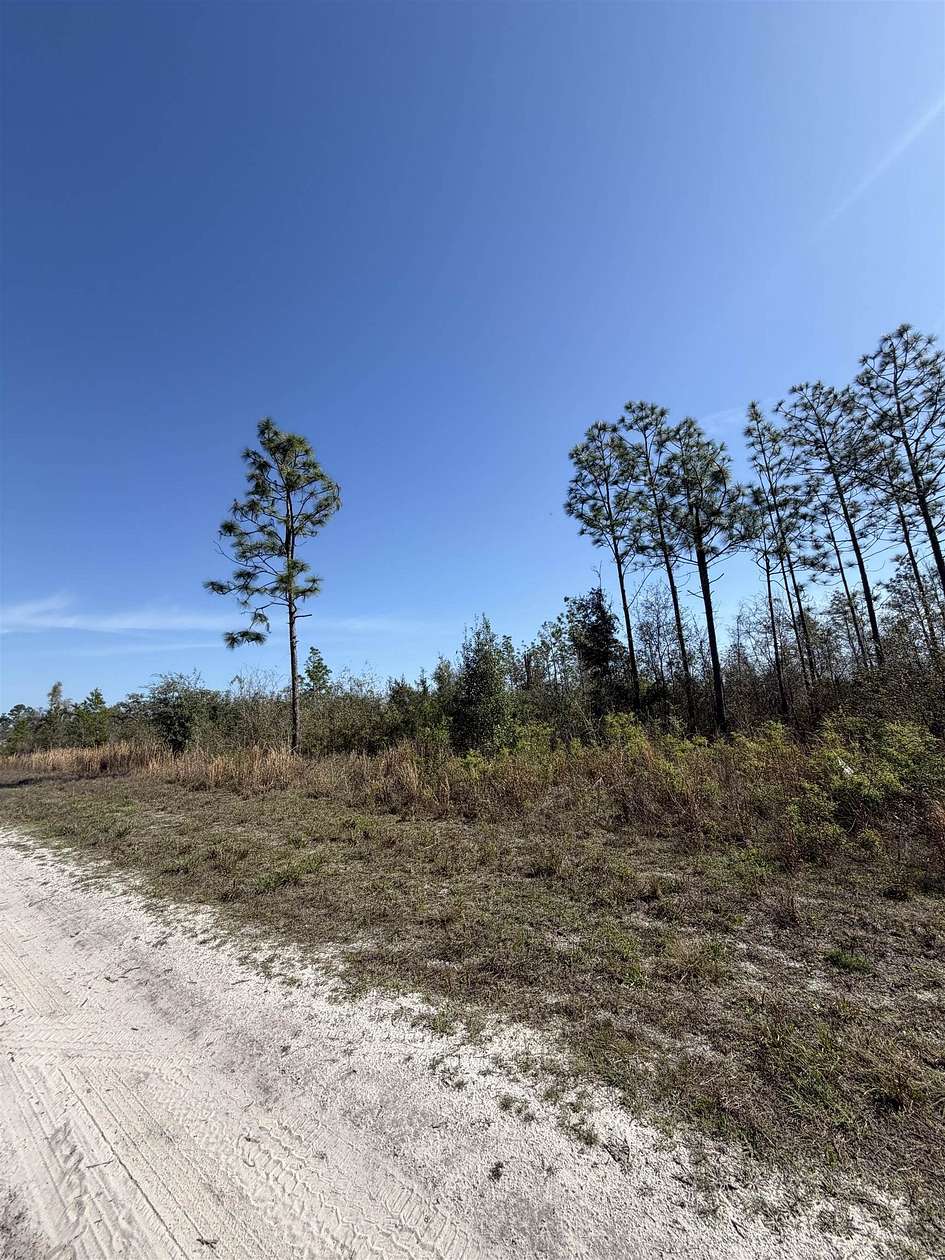 10 Acres of Land for Sale in Lee, Florida