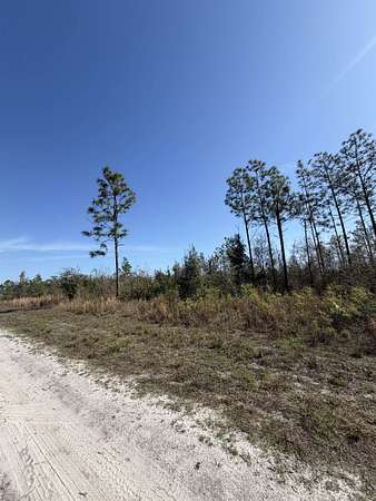 10 Acres of Land for Sale in Lee, Florida