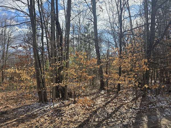 0.34 Acres of Residential Land for Sale in White Cloud, Michigan