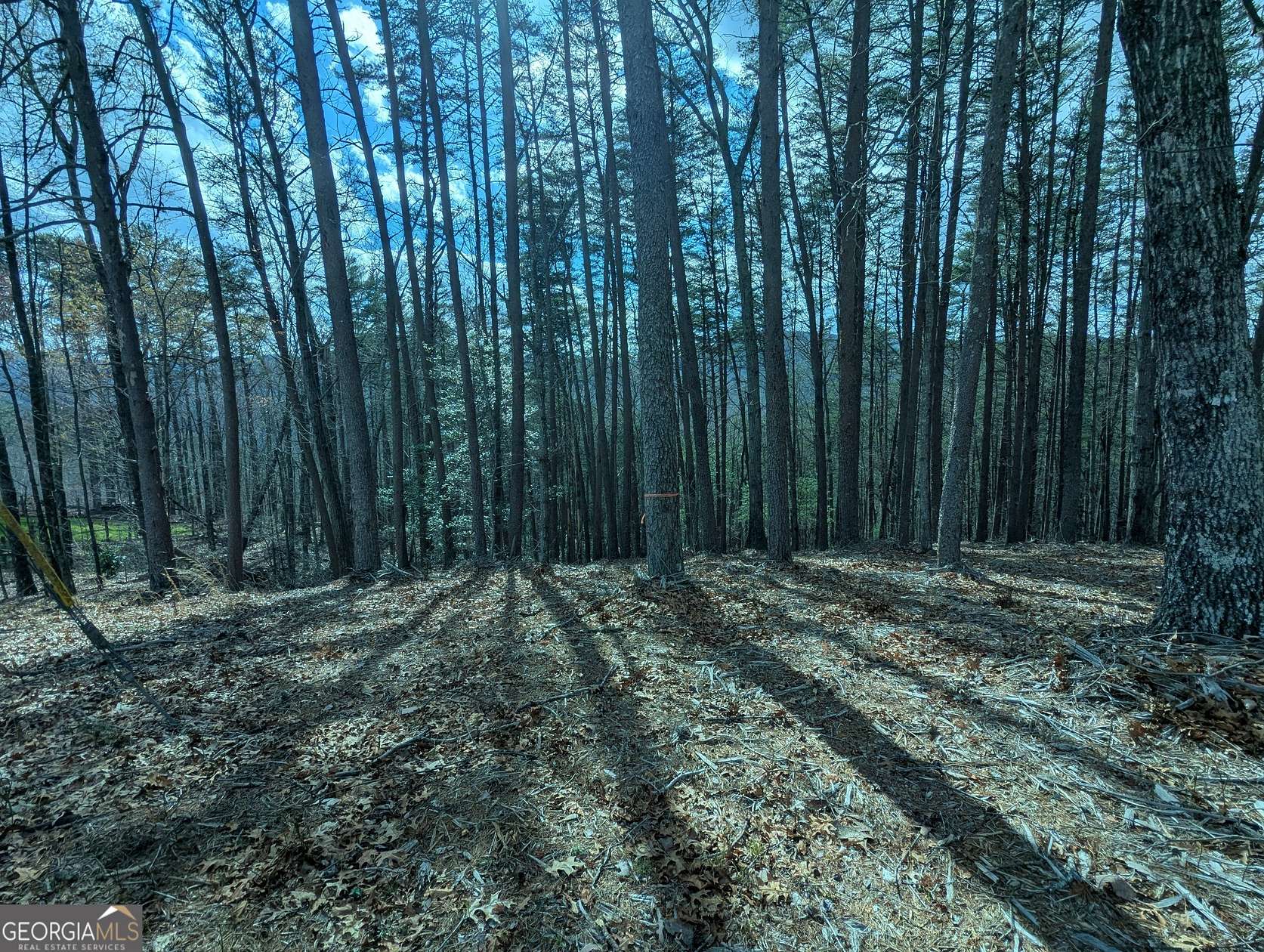 0.6 Acres of Residential Land for Sale in Dawsonville, Georgia