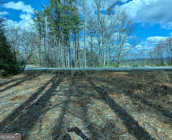 0.6 Acres of Residential Land for Sale in Dawsonville, Georgia