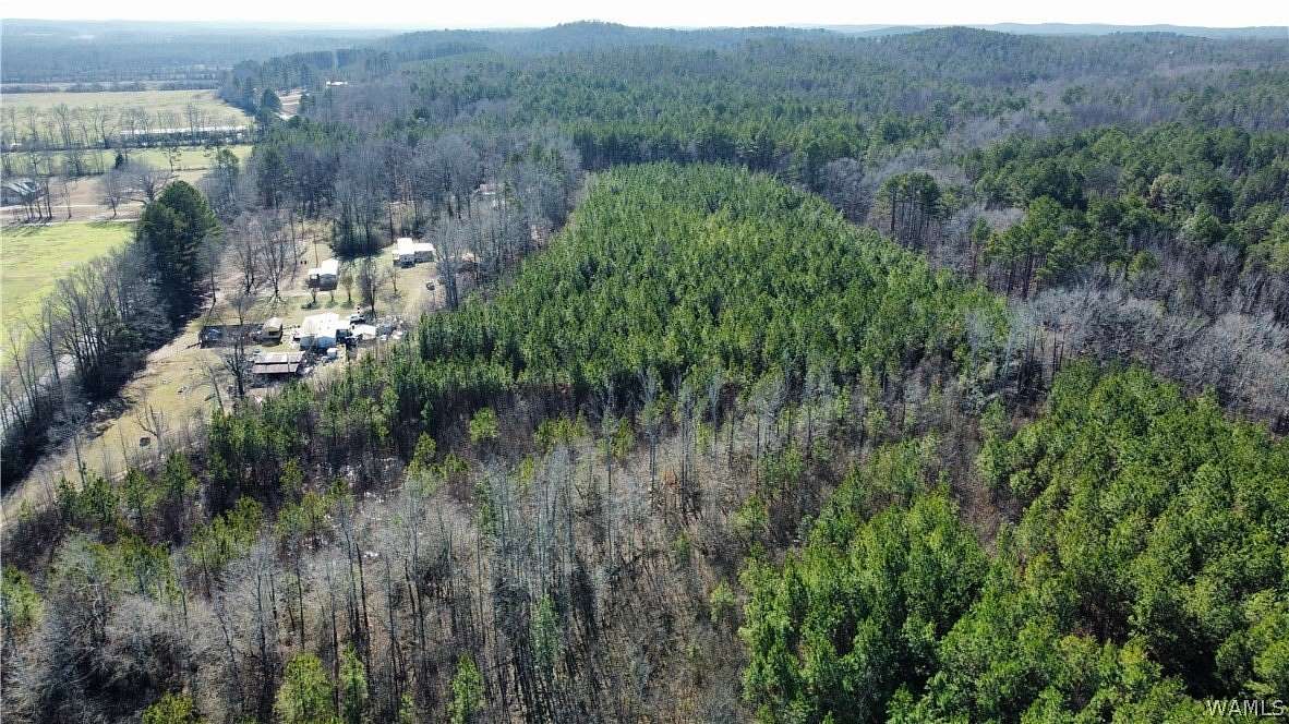 21 Acres of Recreational & Residential Land for Sale in Fayette, Alabama