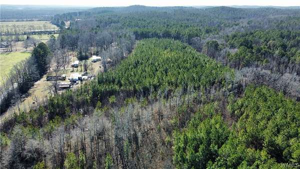 21 Acres of Recreational & Residential Land for Sale in Fayette, Alabama