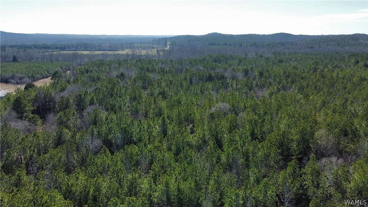 30 Acres of Recreational & Residential Land for Sale in Fayette, Alabama