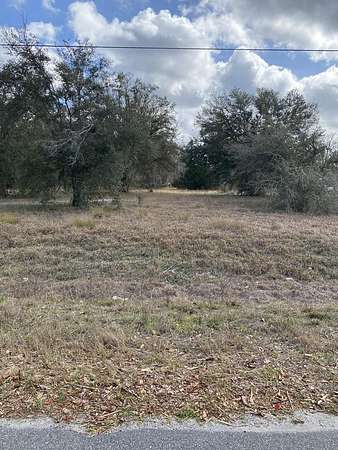 1 Acre of Residential Land for Sale in Cross City, Florida