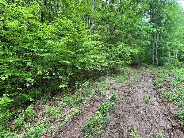 0.46 Acres of Residential Land for Sale in Franklin, North Carolina