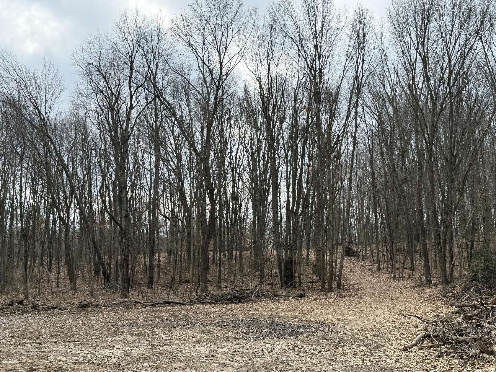 37.6 Acres of Land for Sale in Battle Creek, Michigan