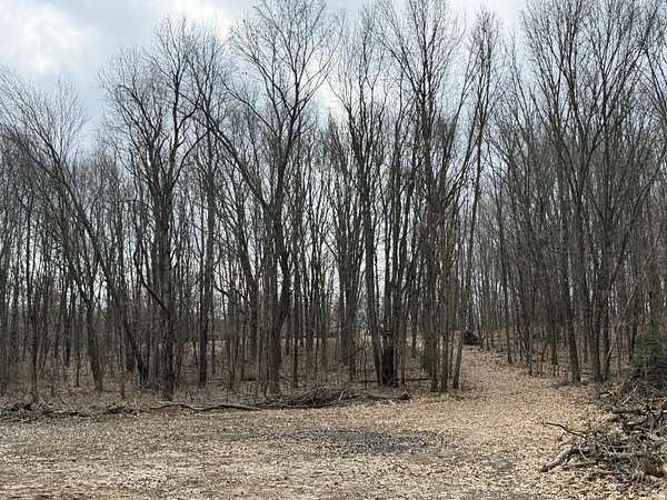 37.6 Acres of Land for Sale in Battle Creek, Michigan