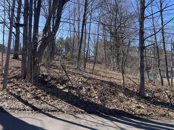 0.31 Acres of Land for Sale in Shelby, Michigan