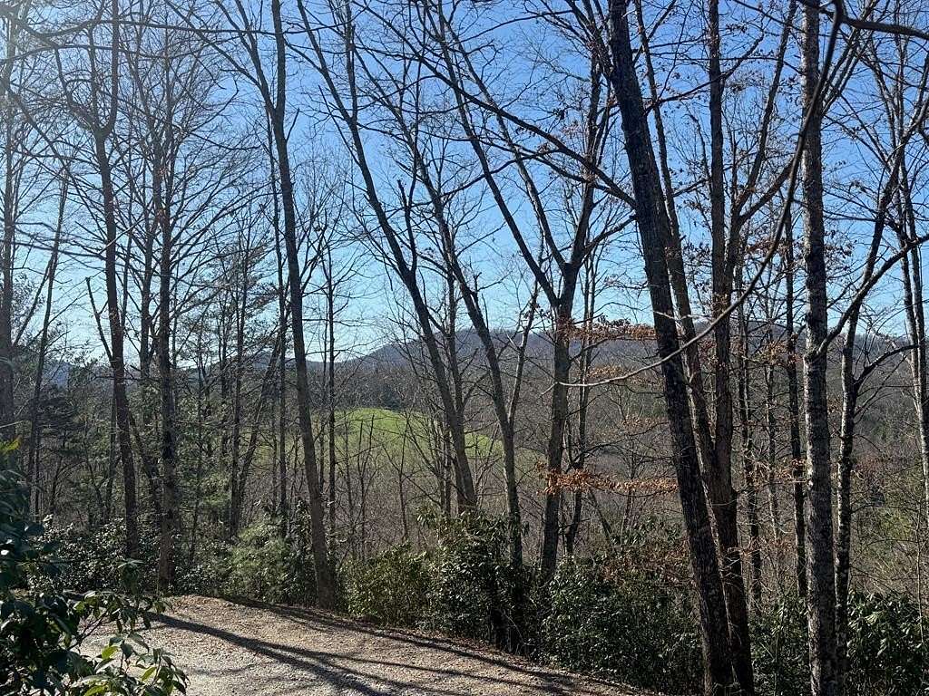 1 Acre of Land for Sale in Warne, North Carolina