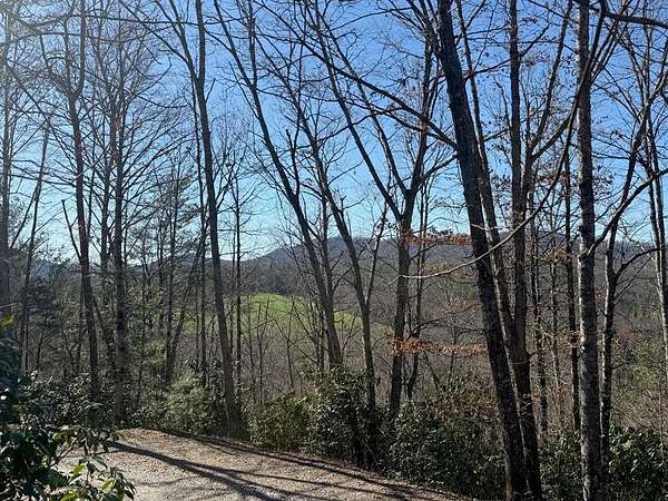 1 Acre of Land for Sale in Warne, North Carolina