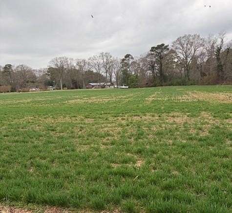4 Acres of Residential Land for Sale in Burgess, Virginia
